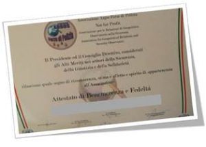 Diploma di Benemerenza e Fedeltà ARGOS Associazione Forze di POLIZIA