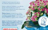 Fiori d'Azzurro, un fiore contro gli abusi, ARGOS Associazione Forze di Polizia sabato 14 Aprile 2018 a Fonte Nuova, dalla parte dei bambini con il Telefono Azzurro