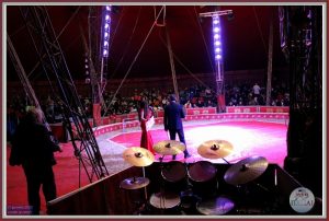 CUORI di CIRCO, al Rony Roller Circus di Roma la 2a edizione del galà dello sport con lo spettacolo circense - ARGOS Forze di POLIZIA